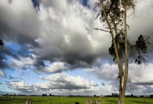 厄瓜多尔球员在比赛中展现意识