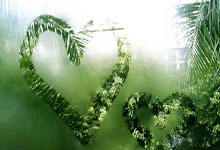 热刺主场压哨绝杀，夺得三分